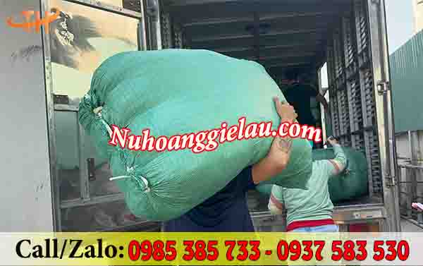 địa chỉ bán sỉ vải lau công nghiệp tại Bình Chánh địa chỉ bán sỉ vải lau công nghiệp tại Bình Chánh