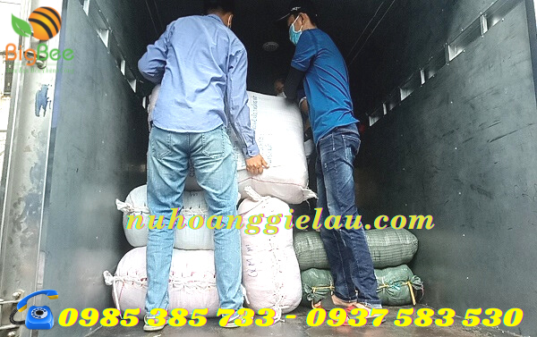 giẻ lau Thu Hồng