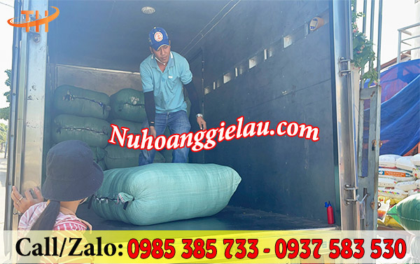 Lên đủ số lượng giẻ lau máy Lên đủ số lượng giẻ lau máy