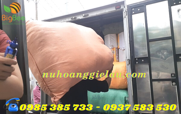 gie lau thu hồng chuẩn bị giao cho khách sỉ