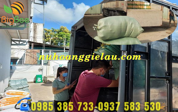 chuẩn bị sẵn hàng giao cho khách Bình Chánh
