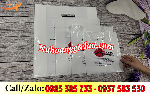 In túi đựng sản phẩm theo mẫu In túi đựng sản phẩm theo mẫu