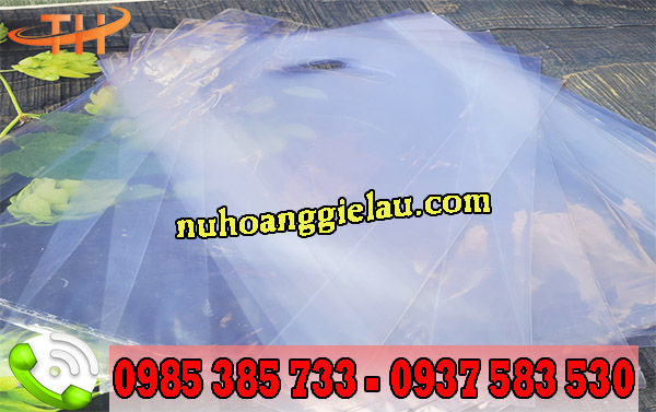 túi hột xoài trong suốt đựng hàng hóa sang trọng túi hột xoài trong suốt đựng hàng hóa sang trọng