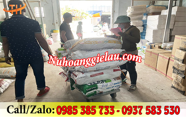 Vận chuyển túi xốp ra xe Vận chuyển túi xốp ra xe