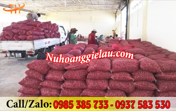 Bao lưới đựng hành tỏi chống hầm, bí, hư thối Bao lưới đựng hành tỏi chống hầm, bí, hư thối