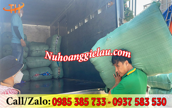 Giao vải lau công nghiệp Giao vải lau công nghiệp