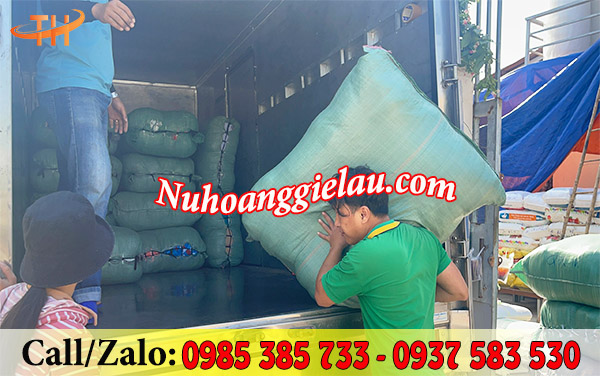 Giao vải lau công nghiệp Giao vải lau công nghiệp