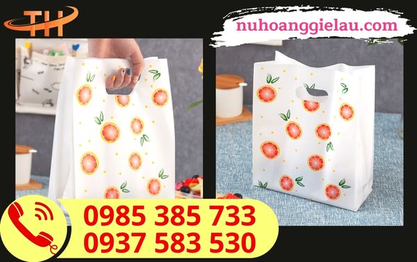 Túi hột xoài in hoạ tiết Túi hột xoài in hoạ tiết