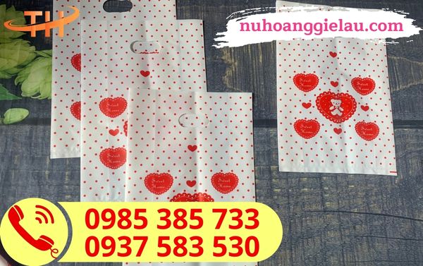 Túi hột xoài in gấu Túi hột xoài in gấu