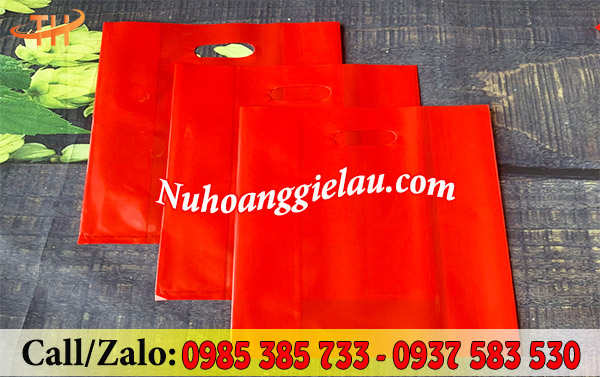 Túi hột xoài PE chất lượng giá rẻ tại Thu Hồng Túi hột xoài PE chất lượng giá rẻ tại Thu Hồng