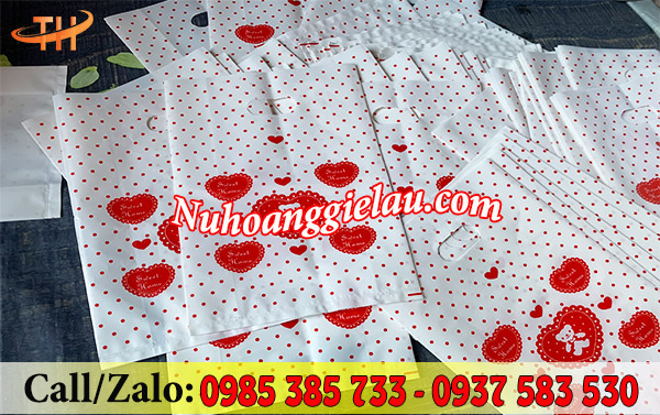 Túi hột xoài PE in gấu Túi hột xoài PE in gấu