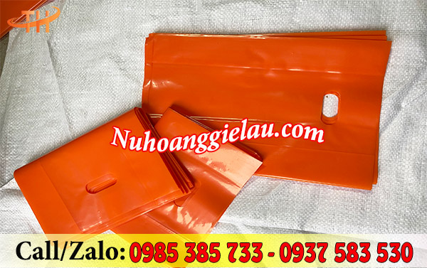 Túi hột xoài PE màu đẹp, bề mặt sáng bóng Túi hột xoài PE màu đẹp, bề mặt sáng bóng