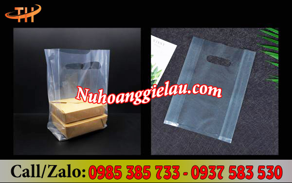 Túi hột xoài trong đẹp, tiện lợi Túi hột xoài trong đẹp, tiện lợi