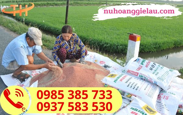 Bao tải dệt PP ghép màng đựng phân bón Bao tải dệt PP ghép màng đựng phân bón