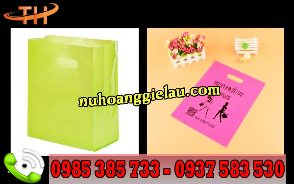 túi hột xoài in hình đẹp giá cả phải chăng túi hột xoài in hình đẹp giá cả phải chăng