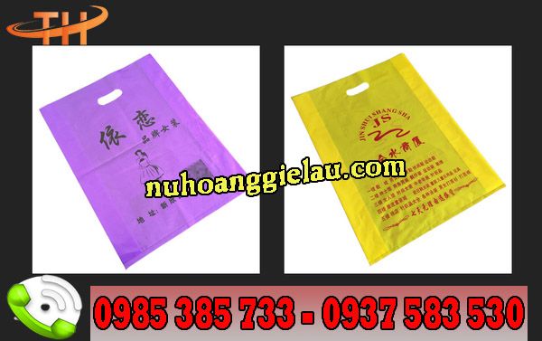 Túi nilon hột xoài in hình đủ kiểu đủ mẫu mã Túi nilon hột xoài in hình đủ kiểu đủ mẫu mã