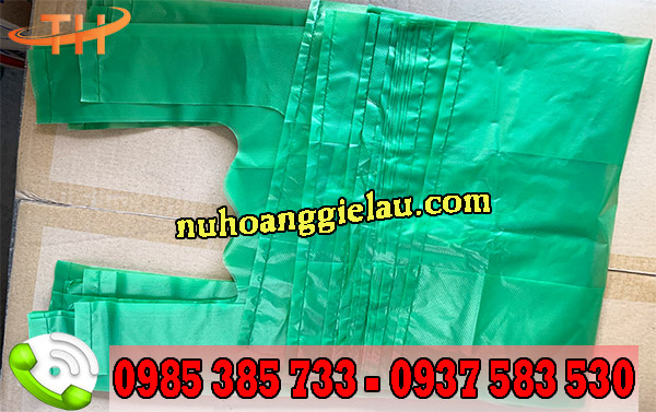 túi nilon hai quai sẵn giá rẻ đủ loại tại Thu Hồng túi nilon hai quai sẵn giá rẻ đủ loại tại Thu Hồng