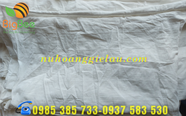 vai-lau-trang-co-chat-cotton-men-min