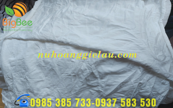 vai-lau-trang-hut-nhanh-bui-ban