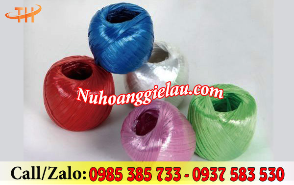 Cuộn dây nilon nem 500gam Cuộn dây nilon nem 500gam