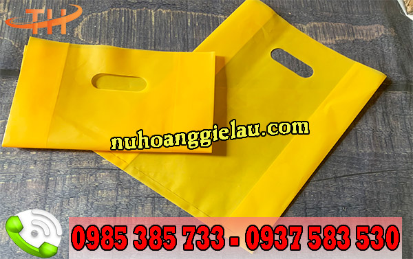 Túi hột xoài màu vàng Túi hột xoài màu vàng