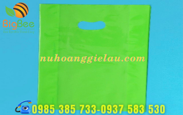 tui-nilon-hot-xoai- gia-si-re