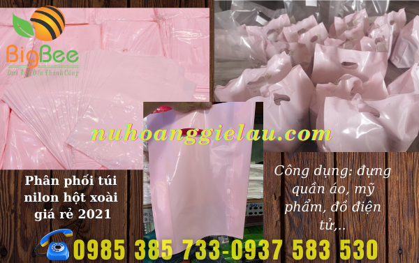 tui-nilon-hot-xoai-da-dang-mau-sac