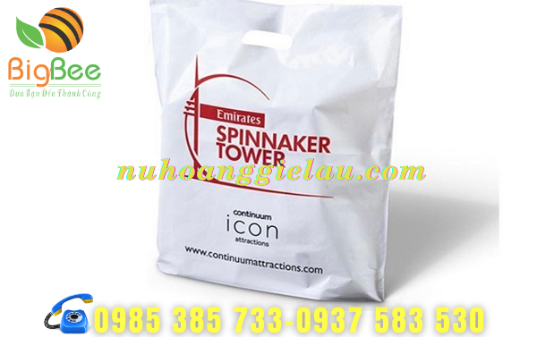 tui-hot-xoai-gia-re-co-san