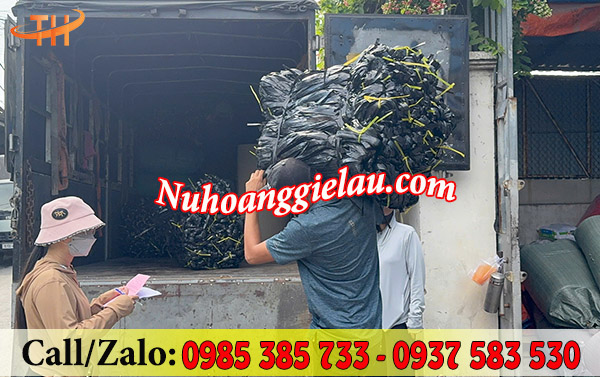 Giao sỉ dây nilon bẹ đen Giao sỉ dây nilon bẹ đen