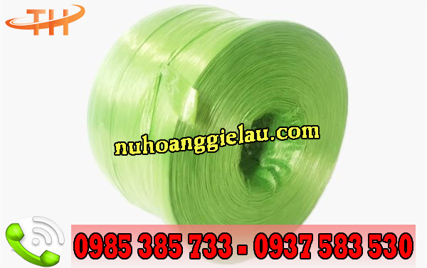 dây nilon cuộn màu xanh dây nilon cuộn màu xanh