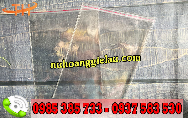 túi dán miệng trong suốt bề mặt sáng bóng túi dán miệng trong suốt bề mặt sáng bóng