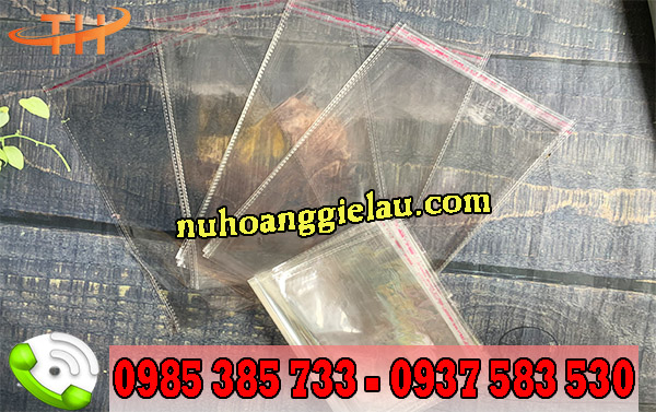 túi dán miệng trong suốt giá rẻ tại Thu Hồng túi dán miệng trong suốt giá rẻ tại Thu Hồng