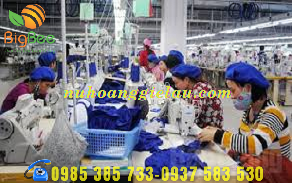 gie-lau-duoc-thu-gom-tu-cac-xuong-may