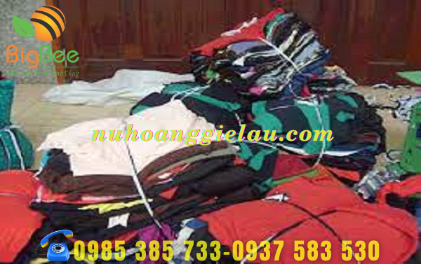 chuyen-ban-si-gie-lau-thun-cotton