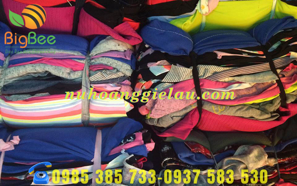 thu-hong-phan-phoi-gie-lau-voi-so-luong-lon