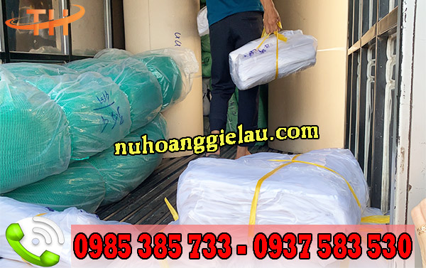 túi hột xoài Thu Hồng chất lượng túi hột xoài Thu Hồng chất lượng