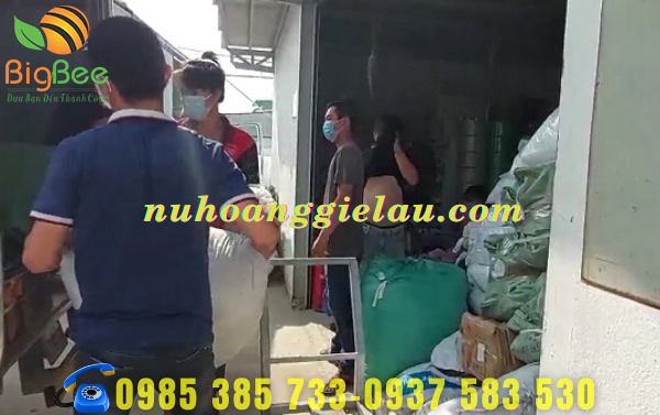 Vải lau màu đủ loại