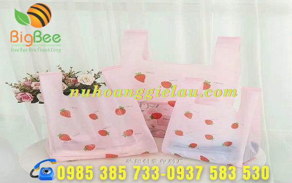 Tui-nilon-pe-dung-moi-vat-dung