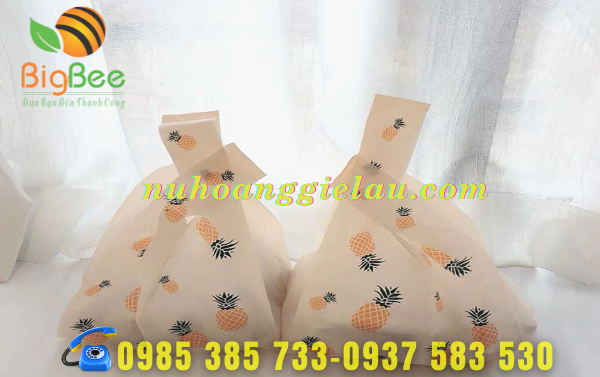 tui-nilon-pe-co-san-tai-thu-hong