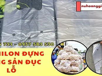 Túi nilon đựng nông sản đục lỗ giá sỉ rẻ HCM