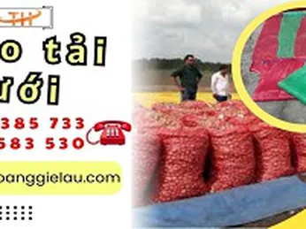 Xưởng cung cấp bao tải lưới số lượng giá tận gốc