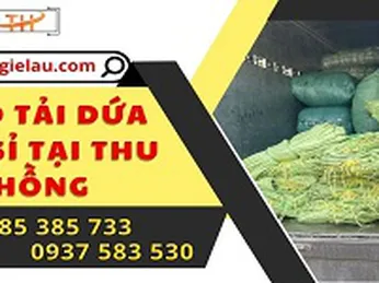 Đi đơn bao tải dứa màu xanh lá tại Thu Hồng giá tốt nhất