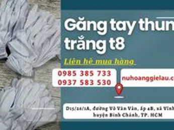 Điểm bỏ sỉ găng tay thun trắng T8 giá rẻ