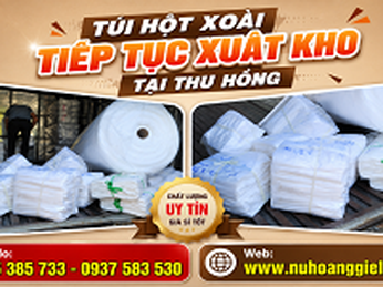 Đơn hàng túi hột xoài tiếp tục xuất kho tại Thu Hồng