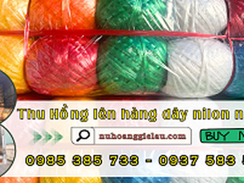 Đội xe thu hồng lên hàng dây nilon nem giao khách