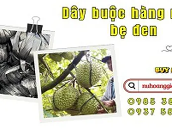 Dây buộc hàng nilon bẹ đen bản lớn sỉ rẻ