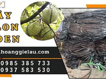 Dây nilon bẹ đen bóng buộc hàng giá ưu đãi sỉ rẻ
