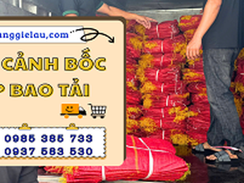 Cận cảnh bốc xếp bao tải giao cho khách sỉ
