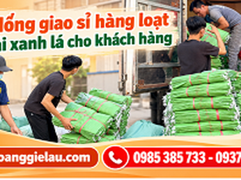 Thu Hồng giao sỉ hàng loạt bao tải xanh lá cho khách hàng