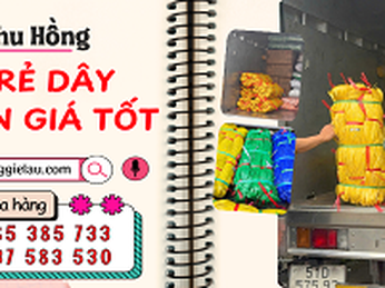 Khách cần gấp – Thu Hồng xuất ngay 5 kiện dây nilon kẽm khô màu vàng